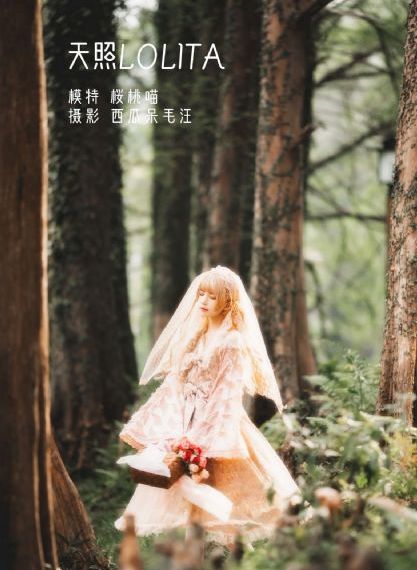 99久久国产综合精品二区_DVD电影完整版
